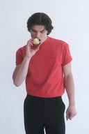 Alvin Kırmızı Basic T-shirt