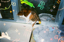 Retocolor Cat'cha 400 Çekat Fotoğraf Makinesi
